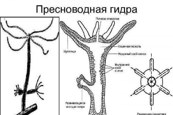 Кракен пх