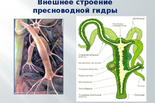 Кракен 12 сайт