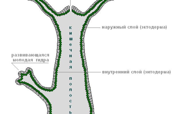 Кракен даркнет текст