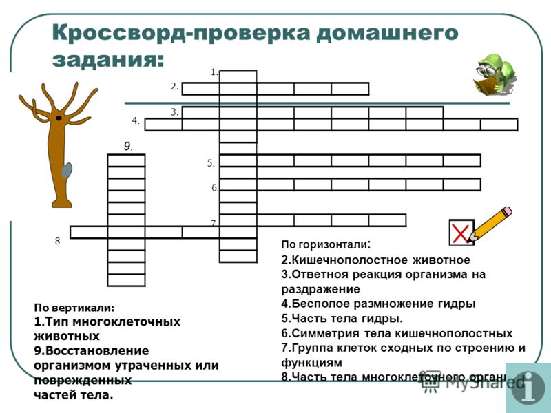 Кракен открылся